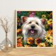 thumbnail image 1 of Cuadros Decorativos Diamante pintura Daisy perro completo redondo taladro imagen de diamantes de imitación DIY dibujo Ndcxsfigh Nuevos Originales, 1 of 8