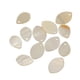 thumbnail image 2 of 24 Piezas de Abalorios de Concha Natural, Accesorios de Joyería, Bricolaje, 2 of 9