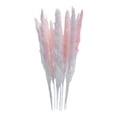 thumbnail image 1 of 15 piezas de hierba de la pampa seca, penachos de caña, ramo de flores, flores decorativas de Phragmites Rosa, 1 of 9