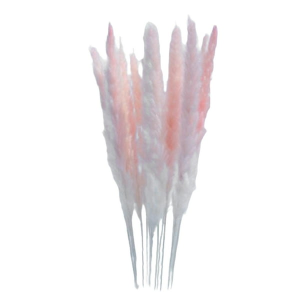 Ramo de hierba de pampa seca natural, ramo de flores secas de larga duración para estilo bohemio. Rosa