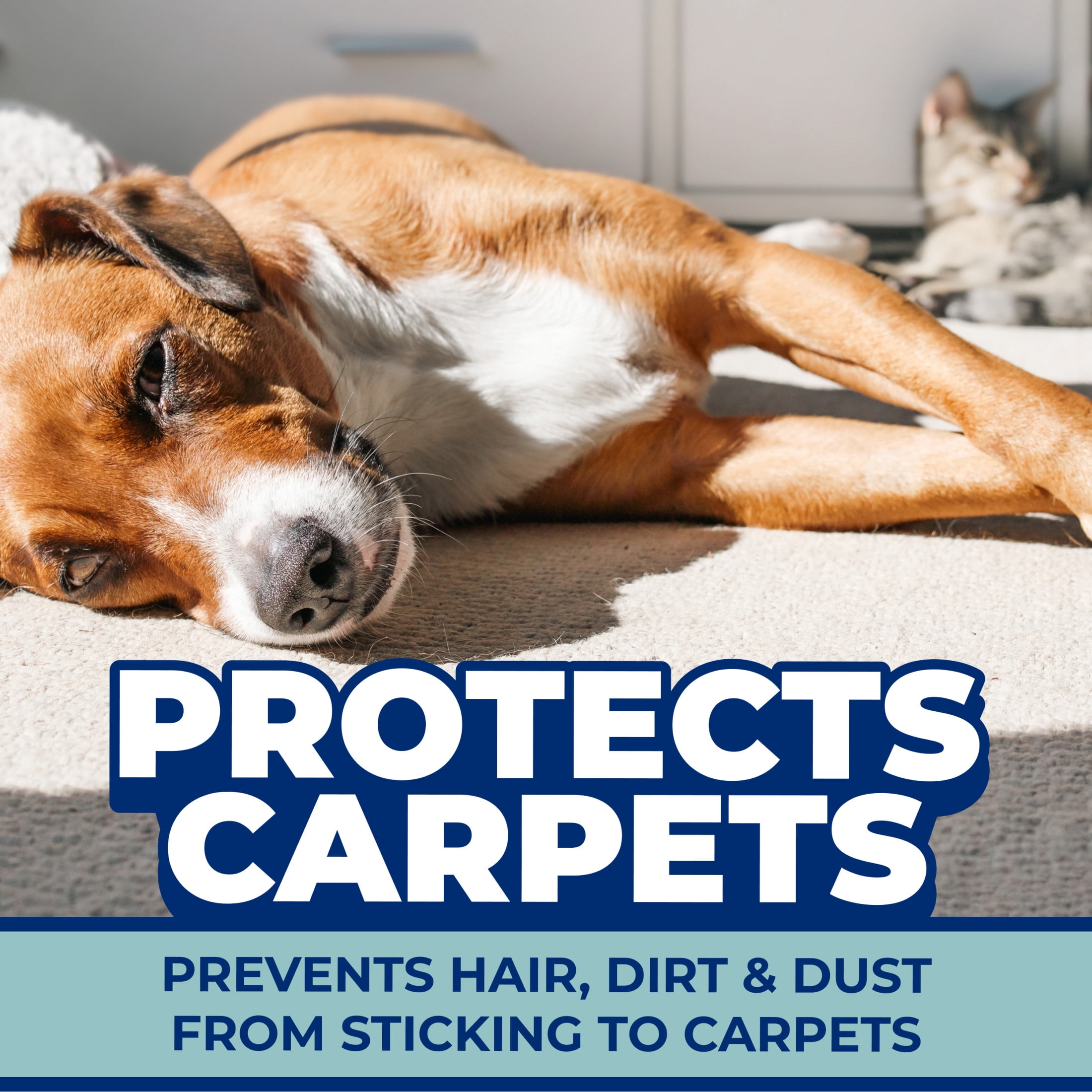 ARM & HAMMER Pet Fresh Plus Hair Release Carpet Protector, Odor Eliminating Carpet Powder, 42.6 oz