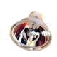HQRP 21V 150W MR16 Shape GX5.3 Base Halogène Ampoule pour Cuda Endoscope Remplacement – image 1 sur 5