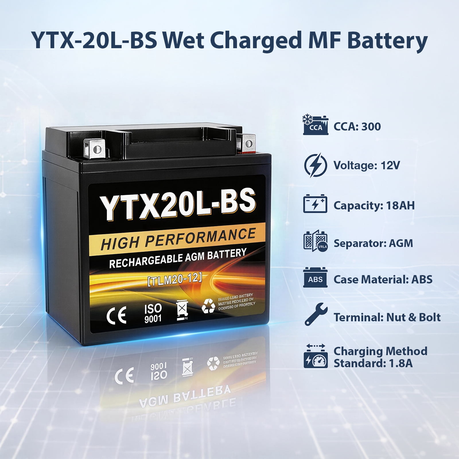 ANLIBATT YTX20L-BS AGM PowerSport Battery 12 Volts, 310 CCA Maintenance Free Sealed Motorcycle ATV and Scooter Battery Replacement