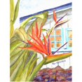 thumbnail image 1 of 11 x 15 Po. Fleur - Drapeau Oiseau de Paradis, Taille Jardin, 1 of 1