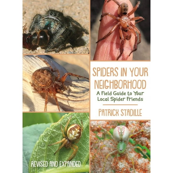 Spiders in Your Neighborhood: A Field Guide to Your Local Spider Friends, Revised and Expanded, (Paperback)
