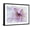 Black Frame, variant on Art.com Purple Flower Photographic Print by Michele Westmorland, 16" x 12"