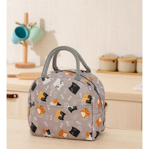 BRILLAR Bolsa de almuerzo con aislamiento, amplia y abierta, organizador refrigerador resistente al agua y a prueba de fugas para mujeres, hombres, niñas y niños, perfecto para picnics al ai