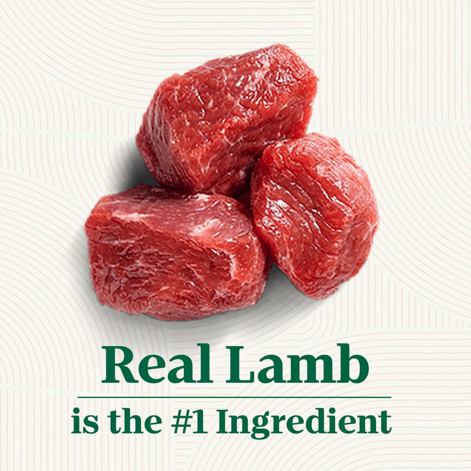 Nutro Natural Choice Nourriture sèche pour chiens adultes de grande race recette avec agneau et riz brun