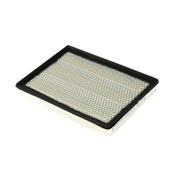 New Genuine Mopar Engine Air Filter (2002-2023) OE 68441763AA