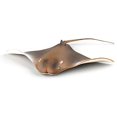 thumbnail image 1 of Simulated Sea Life Animals Figurines Realistic Sea Creature Model Plastic Ocean Animals Action Figure for Collection Science Educational (Mobula), 1 of 4