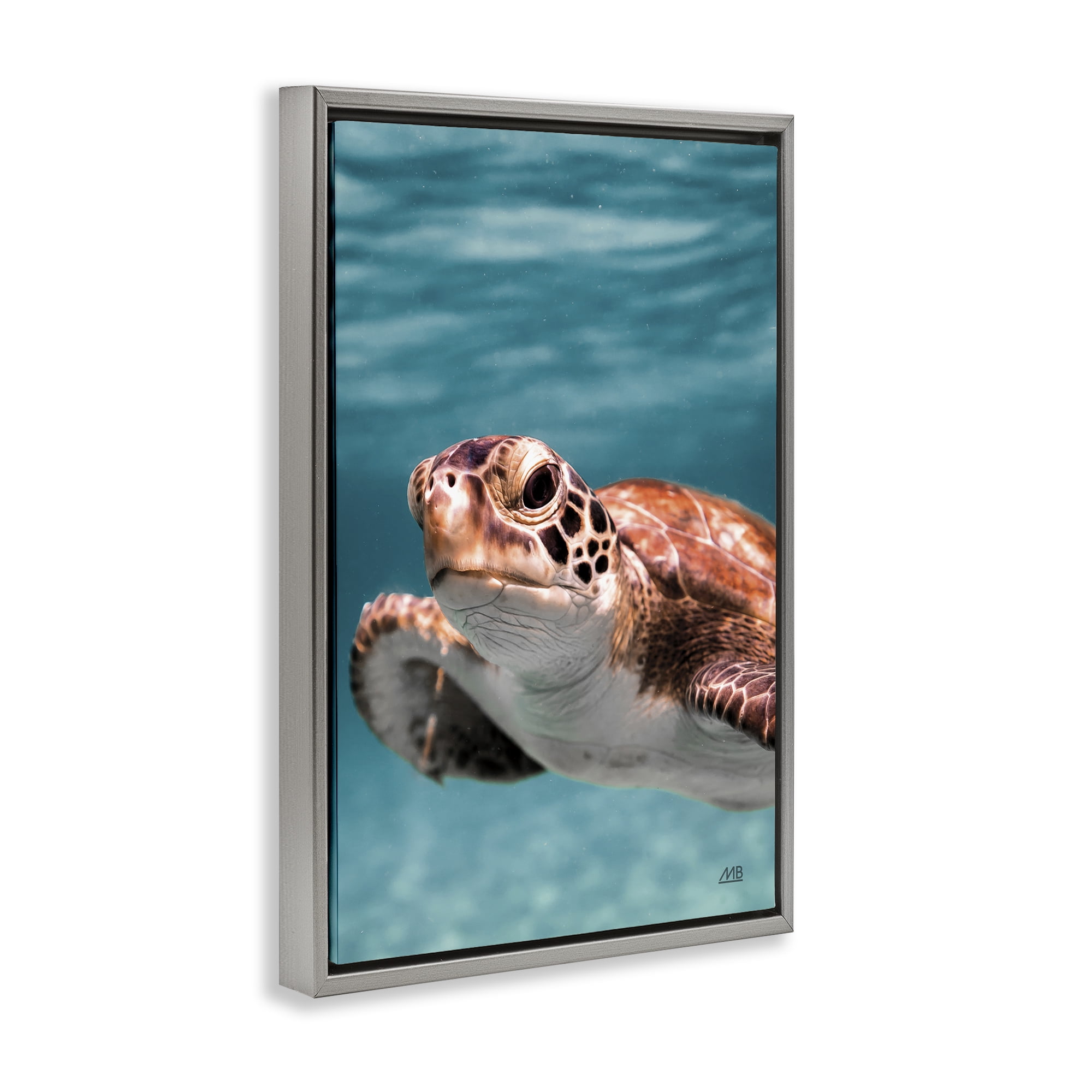 Stupell Industries Underwater Sea Turtle Swim Animals Photography Gray Floater Framed Canvas Art Print Wall Art, 17 x 25