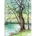 thumbnail image 2 of Williams, Todd 15x18 White Modern Wood Framed Museum Art Print Titled - The Banks of Shoal Creek, 2 of 4