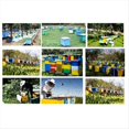 thumbnail image 4 of Nueva Pala de Limpieza de Tablero de Partición de Plástico, Rastrillo de Limpieza de Residuos de Colmena, Herramientas de Apicultura Agrícola, 4 of 5