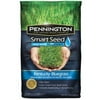 Pennington Seed 3lb Smart Ky Blu Seed