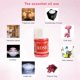 thumbnail image 5 of ACEITE ESENCIAL NATURAL, NATURAL 12 Botellas Fragant Essential Oil, para hábitacia de Dormitorio de Oficina en Casa, 5 of 7