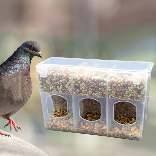 Comedero automático para pájaros Fernando para codornices y loros