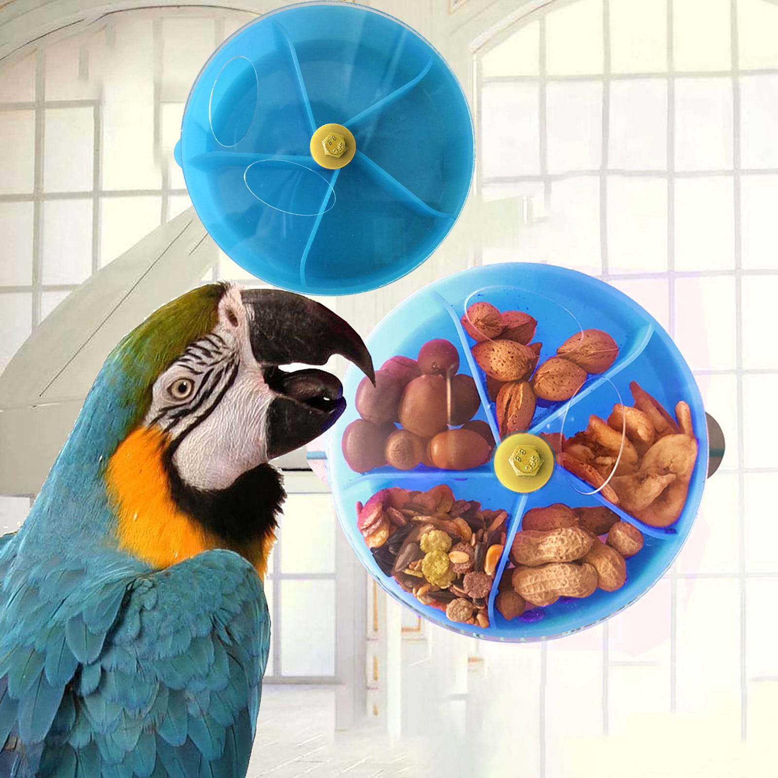 parrot food and supplies