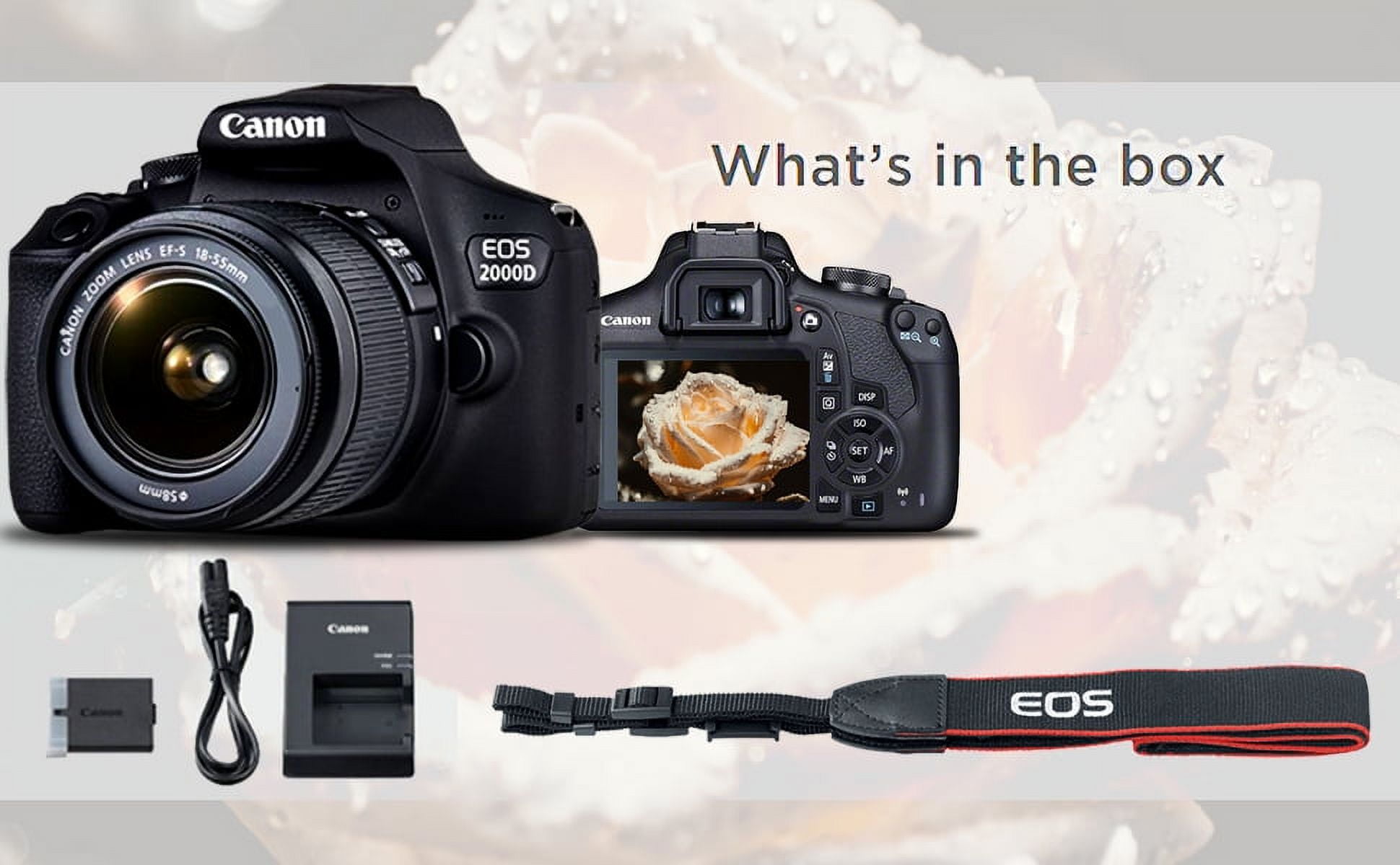 Canon EOS 2000D + EF-S 18-55 mm DC III - Digital SLR camera - LDLC 3-year  warranty