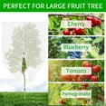 Large Fruit Tree Netting Bags, 10X10FT Garden Netting for Blueberry