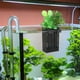 thumbnail image 4 of 10 Uds., cesta para plantas y peceras, maceta colgante de pared para tanque, maceta para plantas acuáticas, suministros para soporte de plantas para peceras, 4 of 4