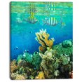 thumbnail image 2 of Fantastic Poisson Corail Rouge de Mer - Impression sur Toile, 2 of 3