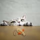 thumbnail image 3 of Juguetes Para Gatos Ratones Juguetes Para Gatos Ratones «Ratones De Tamaño Real Con Sonido De Sonajero Juguete Para Gatos De Interior Ratones De Juguete Rellenos Para Gatos De Interior Juego Interac, 3 of 3
