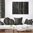thumbnail image 4 of Designart Black and White Birch Forest - Abstract Throw Pillow - 16x16, 4 of 5
