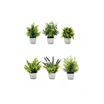 thumbnail image 1 of Planta Artificial Con Macetas Decorativas Bonsai 6 Piezas Verde, 1 of 5