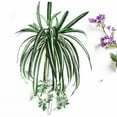 thumbnail image 5 of Walbest 1Pc Chlorophytum Comosum Faux Greenery, Artificial Flowers Spider Plant for Home Wall Garden Hotel Decor Indoor Outside, 5 of 7