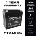 thumbnail image 2 of Shotgun 2003 - 1998 12v Honda VT750C/CD Shadow Ace Motorcycle Battery, 2 of 3