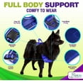 thumbnail image 5 of Katziela Dog Harness Walking Kit and Leash Set in Blue Large for Dogs Pack 1, 5 of 7
