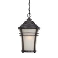 thumbnail image 1 of Une Lanterne Suspendue Extérieure Lumineuse, 1 of 1