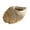 2, variant on Delicate Handcrafted Shell Shape Resin Pots Planter Perfect For Indoor Plant And Adds A Coastal Touch To Home Decors