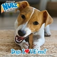 thumbnail image 6 of Nylabone Nubz Wild Dog Chew Treats Bison Small (12 Count), 6 of 10
