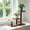 Brown, variant on Taicans Wood 2 Tier Plant Stand,Small Plant Shelf for Indoor Plants,Tabletop Window Plant Stand Flower Pot Holder,Plant Display Rack for Living Room Bedroom Windowsill,Space Saving Plant Stand
