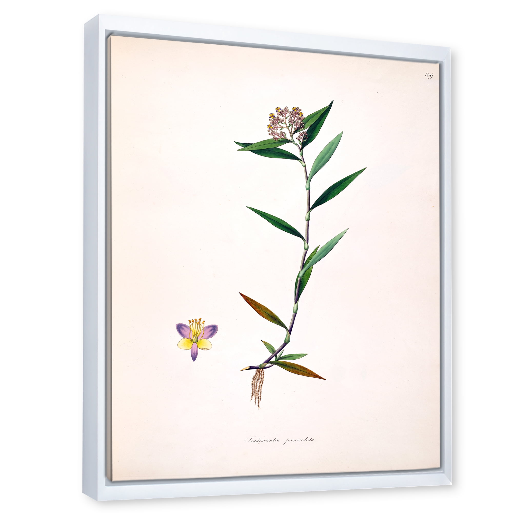 Ancient Botanicals XIX 30 in x 40 in Framed Painting Canvas Art Print, by Designart