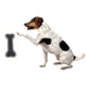 thumbnail image 3 of 2x Juguete para Perros con Chirrido para Mascotas, Sonido de Mordedura para Mascotas, Juguetes Interactivos Duraderos para Perros Y Gatos 2 piezas, 3 of 10
