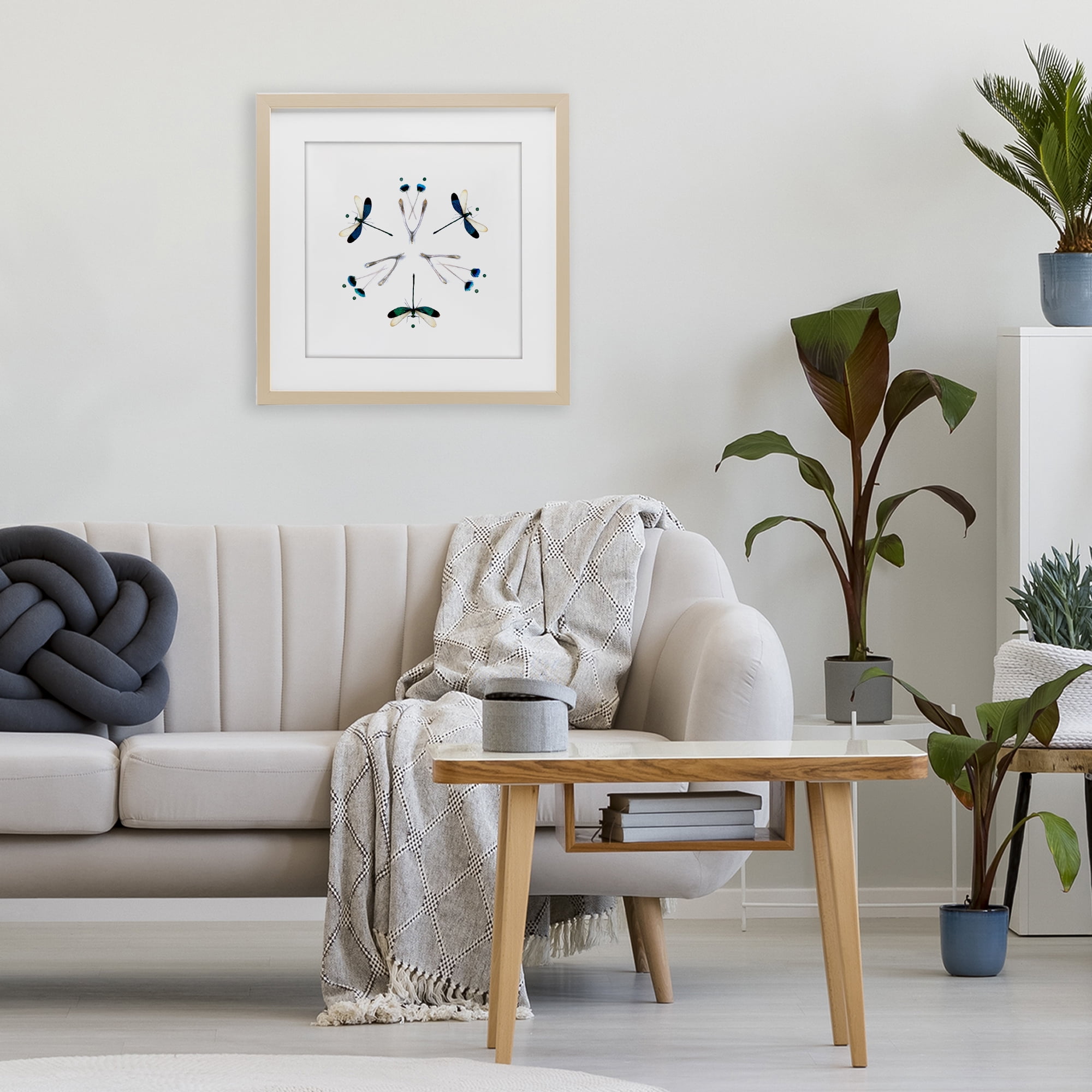 Stupell Industries Simple Dragonfly Symmetry Birch Framed Print Under Glass, design by Beth Adoette