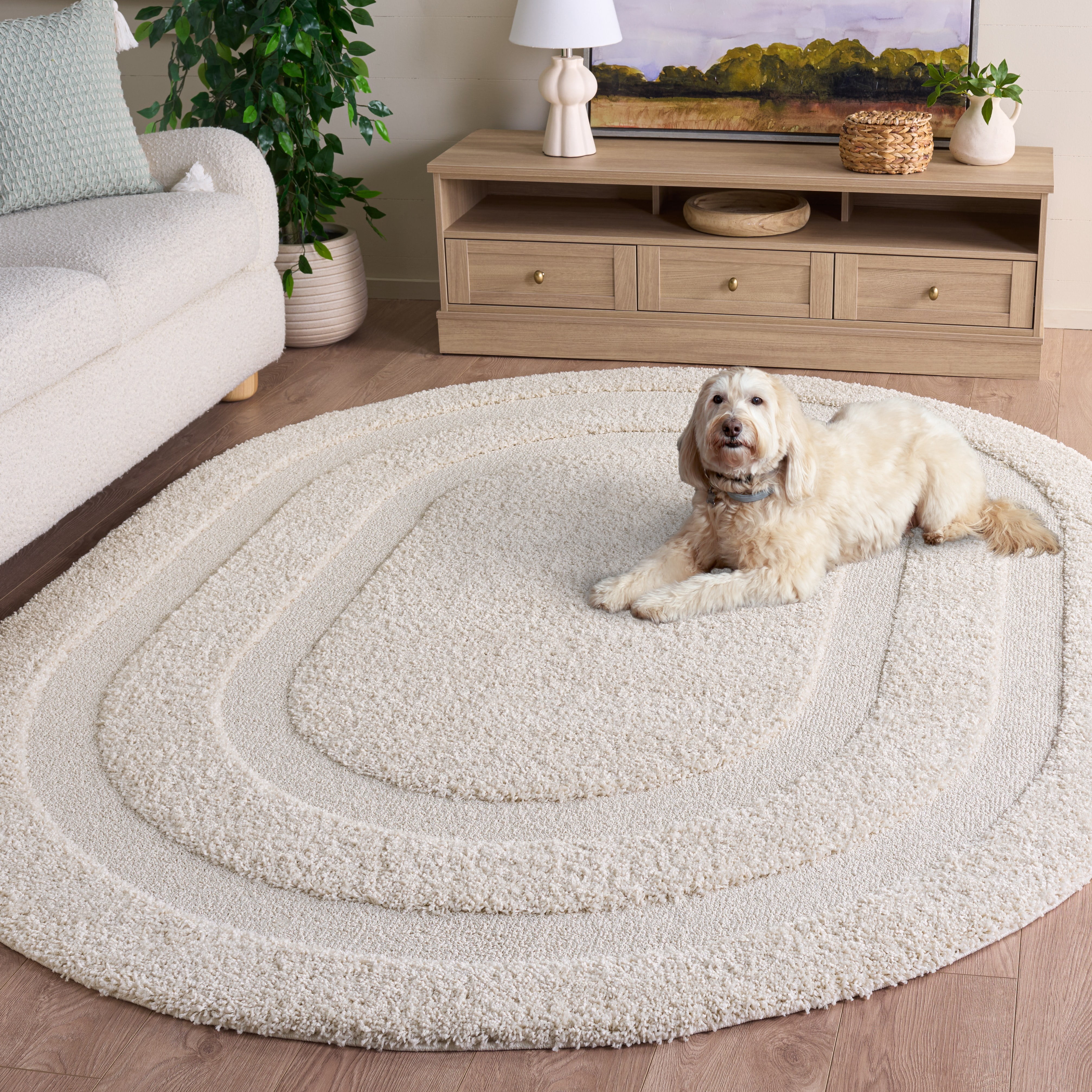 Safavieh Florida Mason Bordered Shag Area Rug, Creme, 6' x 8' Oval