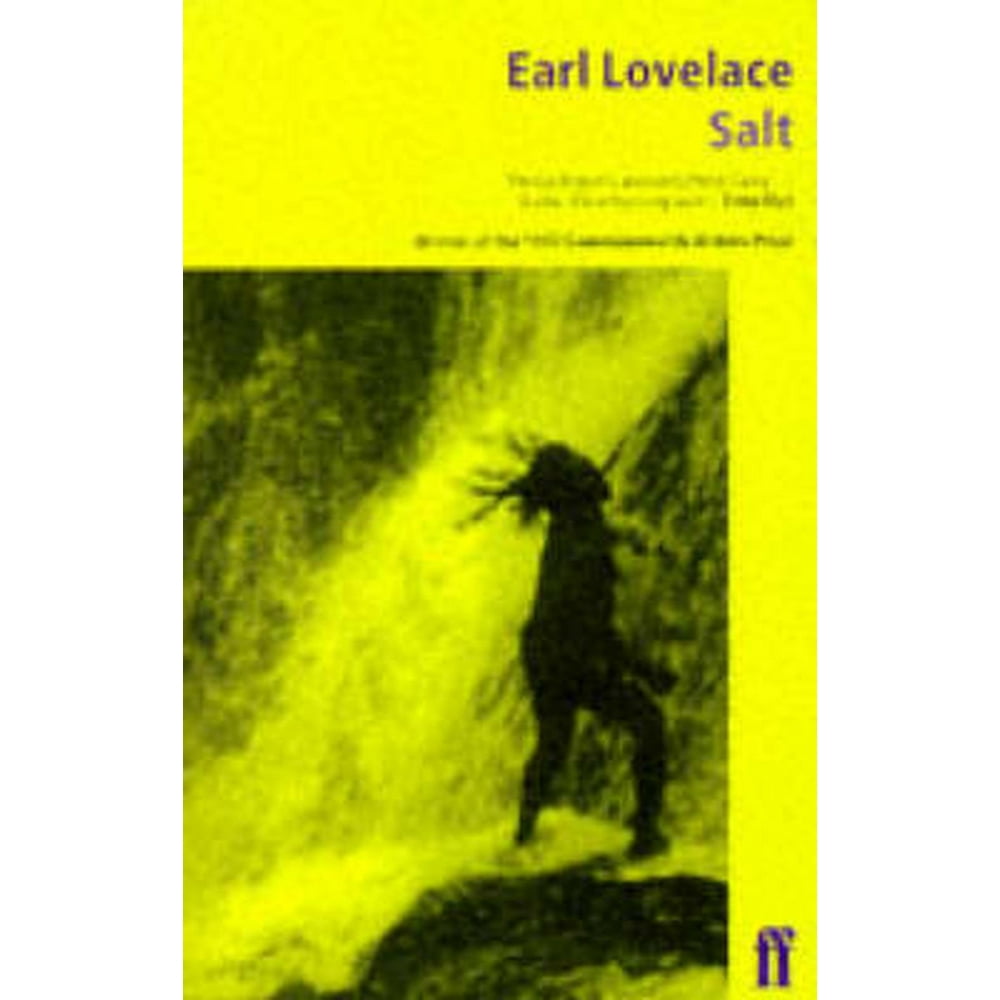 Salt (Paperback)