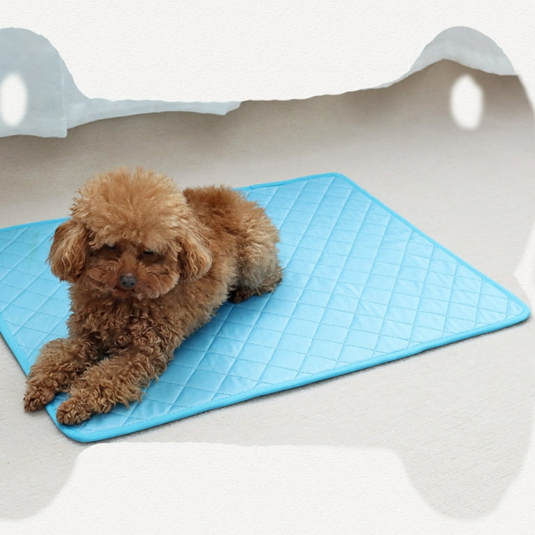 Water absorbing hotsell mat for dogs