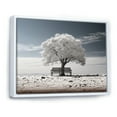 thumbnail image 2 of Designart "Grey White Tree Contemplation" Floral Floater Framed Canvas Wall Art, 2 of 7