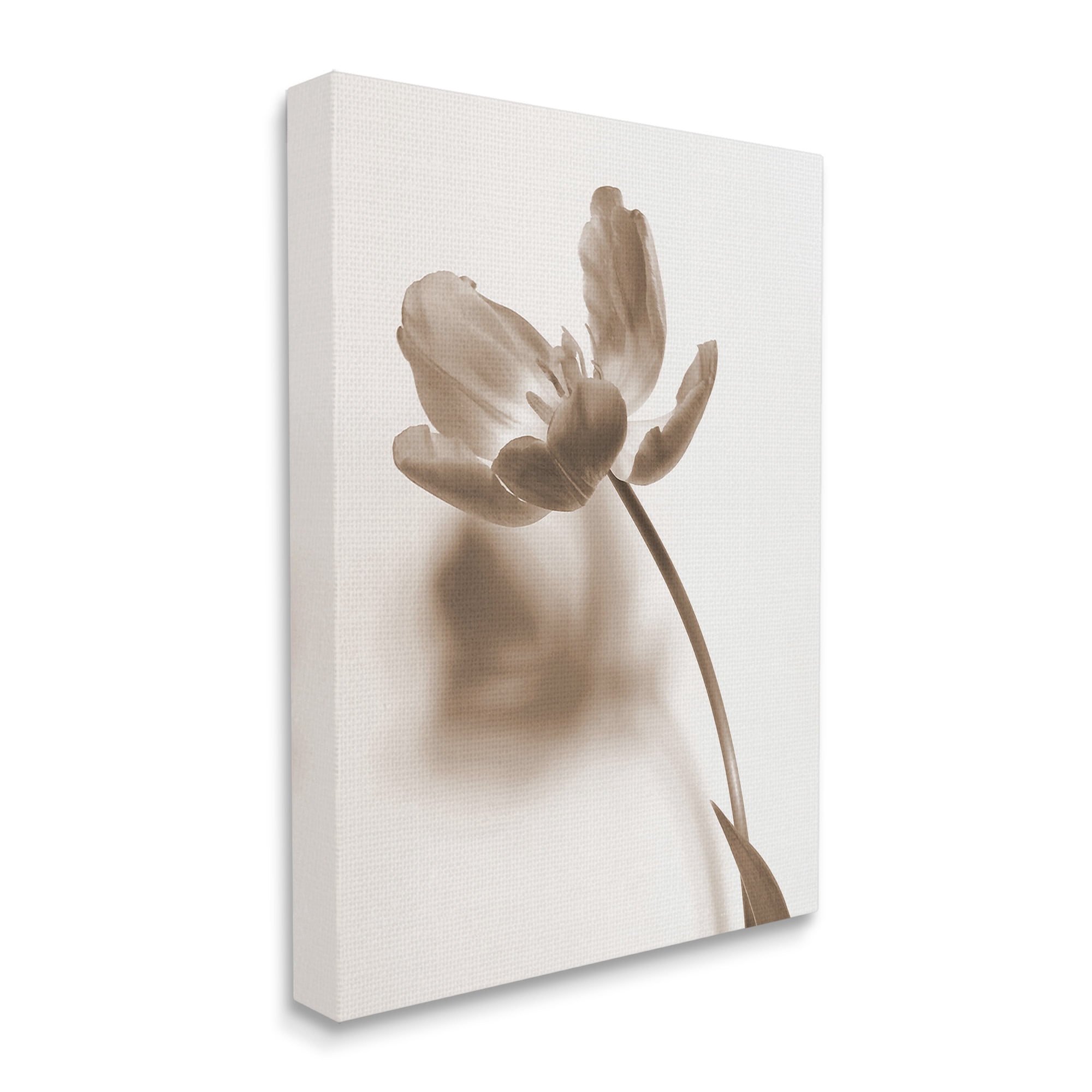 Stupell Industries Minimal Tulip Stem Botanical & Floral Photography Gallery Wrapped Canvas Art Print Wall Art, 30 x 40