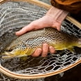 thumbnail image 6 of Superb Magnetic Fly Fishing Net with Lightweight Rubber Mesh - Durable, Fish-Friendly Design, Safety Cord & Copper Swivel for Effortless Catch and Release - The Ultimate Trout Fishing Companion, 6 of 6