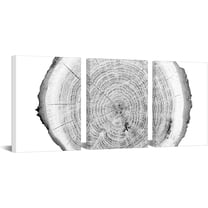Hieng Tree Ring Wall Art Canvas Prints - Black, Grey, and White Abstract Tree Cross Section Paintings - Modern Tree Ring Artwork (only canvas)