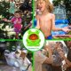 thumbnail image 5 of Máquina automática de burbujas, juguete para niños para diversión con burbujas en interiores y exteriores, fiestas en el jardín, bodas, 5 of 5