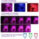 thumbnail image 4 of Lámpara de planta 40w 80leds lámpara de crecimiento de plantas de espectro completo interior hidropónico lámpara de crecimiento de plantas para invernadero lámpara hortícola led luz de cultivo interio Feliz Sencillez, 4 of 5