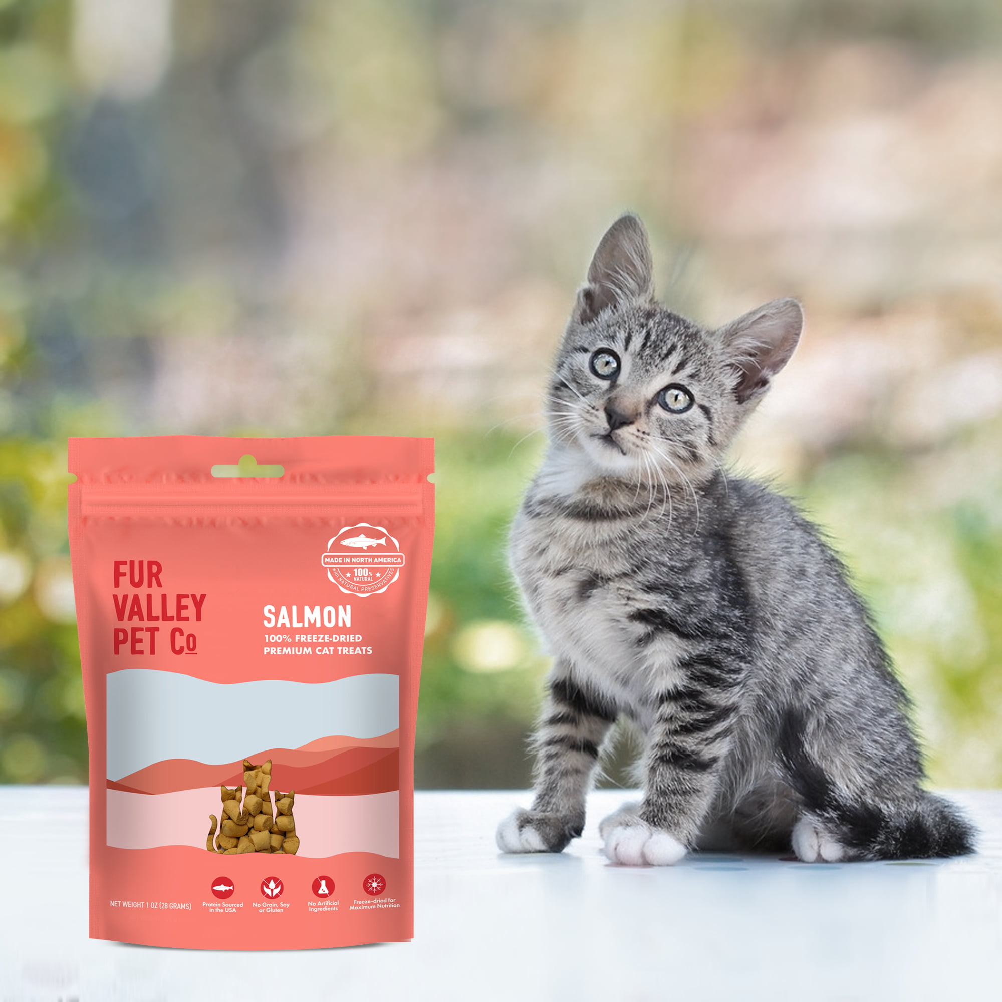 PureBites Whitefish Freeze-Dried Cat Treats – Furly's Pet Supply