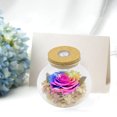 thumbnail image 4 of Holiday gift for women-Fresh roses with colorful mood lights wishing bottle - variegation, 4 of 5