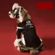 thumbnail image 2 of Ropa Para Perros Mascota Otoño, 2 of 6